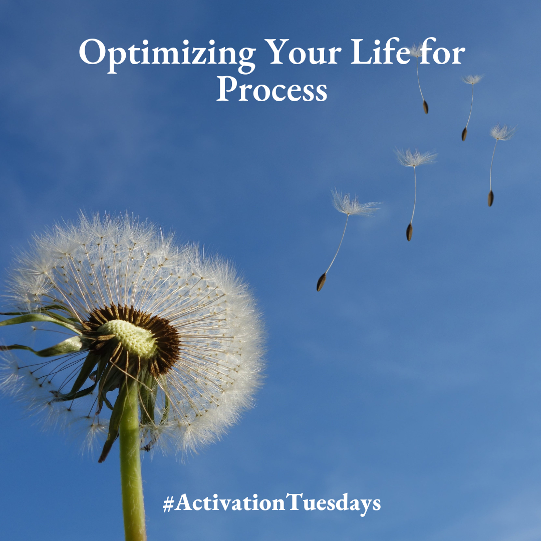 Optimizing your life for process