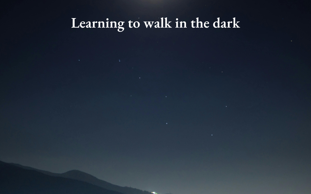 Learning to walk in the dark